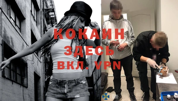 дживик Арсеньев
